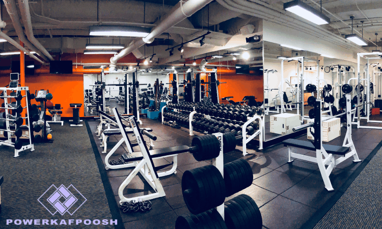 بهترین کفپوش استاندارد برای باشگاه های ورزشی